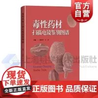 毒性药材扫描电镜鉴别图谱 陈随清袁媛主编上海科学技术出版社超微结构鉴别技术参考中药毒性理论临床安全用药