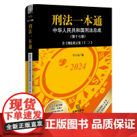 2024年全新正版 刑法一本通第十七17版含刑法修正案十二法律出版社李立众刑法修正案指导案例中国刑法典 中华人民共和国刑