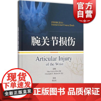 腕关节损伤 加西亚-埃利亚斯/麦瑟林 柴益民 手外科医师骨科医师及整形修复外科 外科学 西医医学 医药卫生 上海科技 世