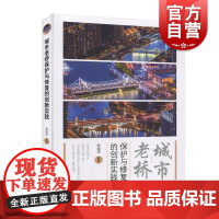 城市老桥保护与修复的创新实践 韩振勇 混凝土桥梁保护修复实践 钢结构 上海科学技术出版社