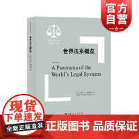 世界法系概览 世界法学名著译丛上海人民出版社