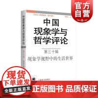 中国现象学与哲学评论:第三十辑