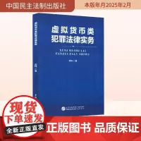 虚拟货币类犯罪法律实务 梁玮 著 法学理论社科 正版图书籍 中国民主法制出版社