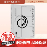 著作权法实务评注 魏嘉 著 法学理论社科 正版图书籍 知识产权出版社