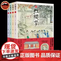 给孩子的的红楼梦适读本全4册 茅盾节编文字版 红楼梦删减五年级语文课外书籍 四大名著儿童版绘本 正版原著小学生版全套典藏