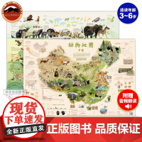 北斗正版 新版动物地图中国 860*600mm 了解动物的知识百科地图墙贴装饰初中小学生专用儿童科普地图地理少儿科普知识