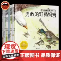 西顿野生动物故事集精选全集10册 正版 三年级四五六年级文学的小学生课外阅读书籍 儿童文学读物8-10-12岁沈石溪