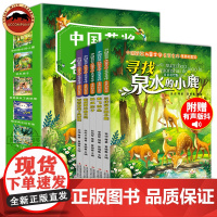 中国获奖儿童文学名家名作全5册注音版素养积累篇 寻找泉水的小鹿 作文素材积累 文学素养 小学生一二三四五六年级课外阅读书