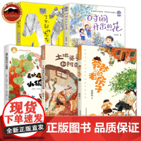 爷爷的老房子土地婆婆和阿菊阿宝的故事看护森林的小狐狸时间开出的花了不起灰灰儿童文学语文分级快乐阅读书小学一二三四五六年级