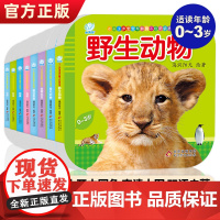 0-3岁宝宝早教撕不烂纸板书全8册 0-1-2-3岁宝宝启蒙认知早教书早教卡片0到3岁宝宝绘本早教启蒙认知大百科纸板书撕