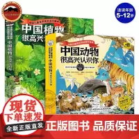 中国植物很高兴认识你中国动物很高兴认识你儿童自然百科通识绘本图鉴5-12岁小学生课外书科普百科读物四季的变化绘本动物百科