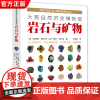 正版 大英自然历史博物馆岩石与矿物 50多种岩石200多种矿物岩石与矿物的多彩世界 儿童科普读物科普类书籍小学生课外书百
