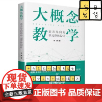 大概念教学:素养导向的单元整体设计 刘徽著破解素养目标落实之难题 让老师学生具备专家思维思考
