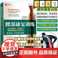 腰部康复训练 提升稳定性灵活性与缓解疼痛的针对性练习 运动康复书籍物理按摩师技术书 人民邮电出版社人民邮电出版社