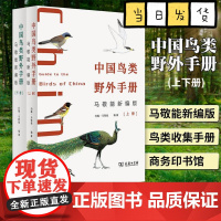 中国鸟类野外手册 马敬能新编版上下册 经典观鸟手册的全新修订 手绘版中国鸟类“新华字典”