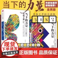 [新版2册]当下的力量 +当下的力量实践手册 白金版 埃克哈特·托利 中信出版社 成功励志正版书籍 中信出版社