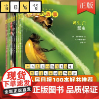生命的故事第1辑 昆虫记动物自然物语少儿科普绘本幼儿园小学生课外阅读书籍一二三四年级