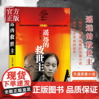 [正版书籍]遥远的救世主 原著未删减版 豆豆著正版小说 热播电视剧天道原著长篇小说现当代经典文学天幕红尘书排行榜