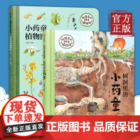 [正版]小药童的秘密花园(套装全两册,含:树洞里的小药童、小药童植物图鉴)发现中草药的童话世界;习得常见中草药常识