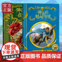 [正版]神奇动物在哪里+神奇的魁地奇球 霍 格沃茨图书馆系列全集共2册 儿童读物书籍哈利波特作者J.K.罗琳