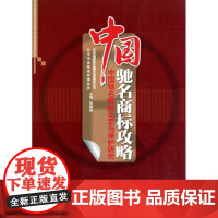 中国驰名商标攻略(中国驰名商标认定与保护研究)