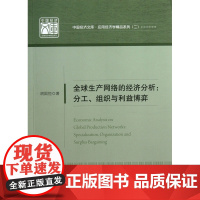 全球生产网络的经济分析--分工组织与利益博弈/应用经济学