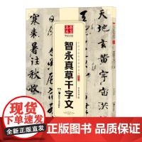 智永真草千字文(中国书法传世碑帖精品)中国书法传世碑帖精品 毛笔书法原帖拓本字帖 成人学生临摹古帖 简体旁注 湖南美术出