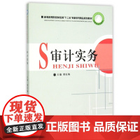 审计实务(新编高等院校财经类十二五创新系列精品规划教材)