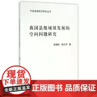 我国县级城镇发展的空间问题研究/中国县域经济研究丛书