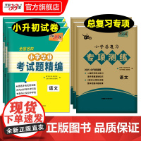 2025版天利38套小学总复习专项训练语文数学英语牛皮卷专项突破练习试卷巩固基础知识模拟试题小升初真题卷2025全套六年