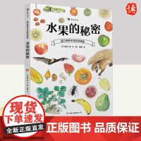 盛口满的手绘自然图鉴:水果的秘密 中国友谊出版公司