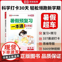 [小升初]荣恒教育2025版暑假预复习一本通苏教版 小学语文数学英语暑假衔接暑假专项训练册预习复习衔接资料书