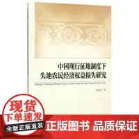 中国现行征地制度下失地农民经济权益损失研究