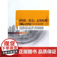 经济社会文化权利国际公约国内实施读本