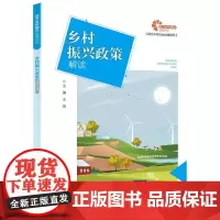 [助力乡村振兴出版计划·现代乡村社会治理系列]乡村振兴政