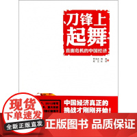 刀锋上起舞(直面危机的中国经济)
