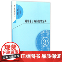 跨境电子商务营销宝典/职业技能培训丛书