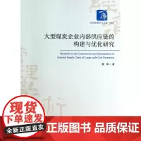 大型煤炭企业内部供应链的构建与优化研究/经济管理学术文库