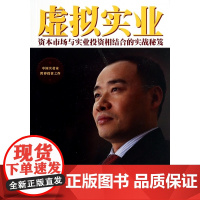 虚拟实业(资本市场与实业投资相结合的实战秘笈)
