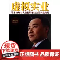 虚拟实业(资本市场与实业投资相结合的实战秘笈)
