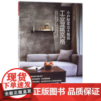 小户型装出大格局(工业混搭风格)