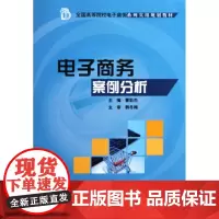 电子商务案例分析(全国高等院校电子商务系列实用规划教材)