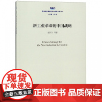 新工业革命的中国战略(2018)/国务院发展研究中心研究