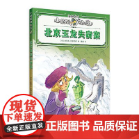 北京玉龙失窃案 上海译文出版社
