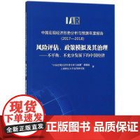 风险评估政策模拟及其治理--不平衡不充分发展下的中国经济