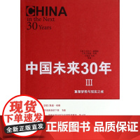 中国未来30年(Ⅲ重塑梦想与现实之维)