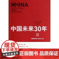 中国未来30年(Ⅲ重塑梦想与现实之维)