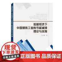 低碳经济下中国钢铁工业的节能减排理论与实践