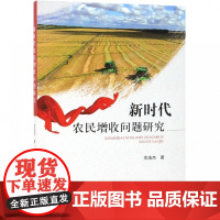 新时代农民增收问题研究