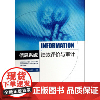 信息系统绩效评价与审计